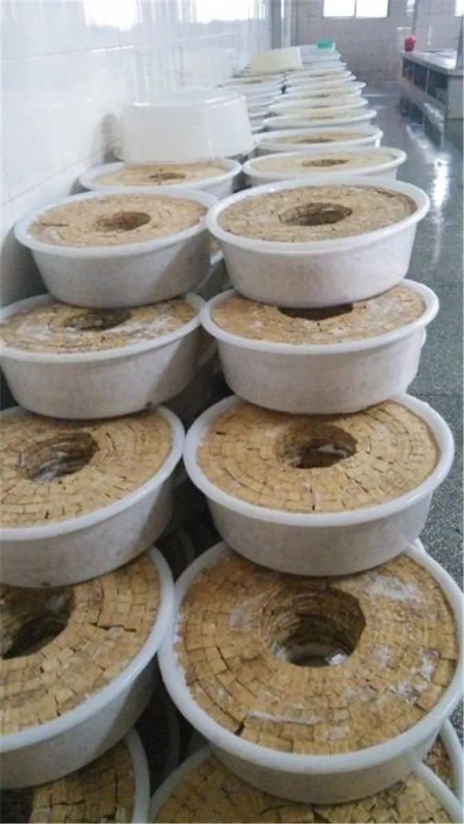 粤菜谱54期 香港美食旅游 探访中国香港廖孖记百年豆腐乳 广式VS港式美食